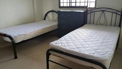 Blk 501 Bedok North Street 3 (Bedok), HDB 3 Rooms #139333002